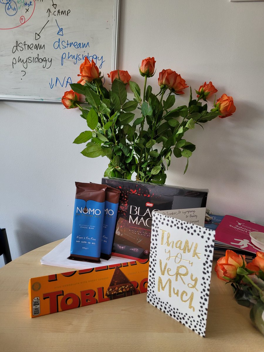 Dr Sarah T 💙 tweet media