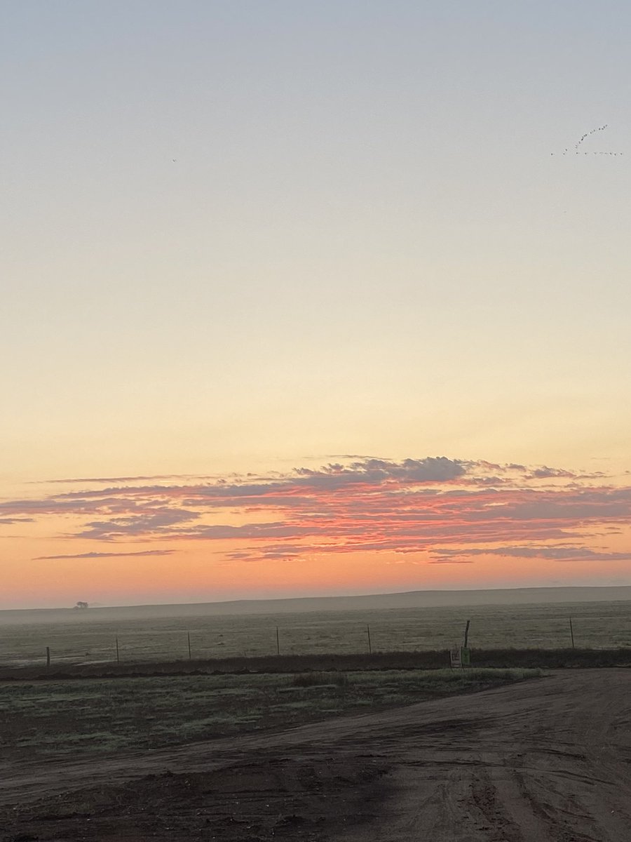 idacavagec's tweet photo. Good morning 😍 #renocounty #frontyardviews https://t.co/hfl1j1EAqf