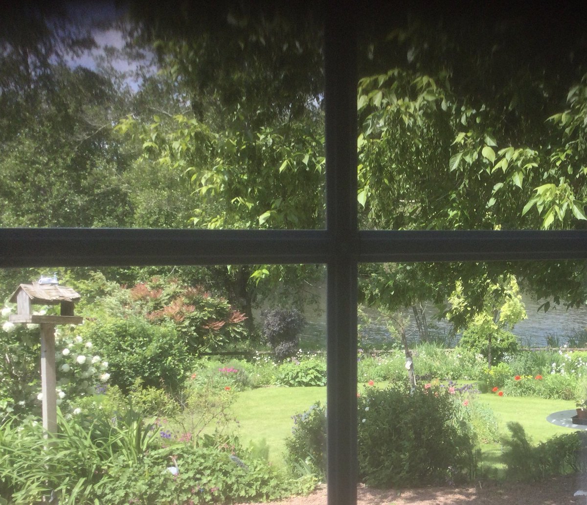 EdenVivace's tweet photo. Not a bad view from the back door…. https://t.co/Dg0euFzpaS