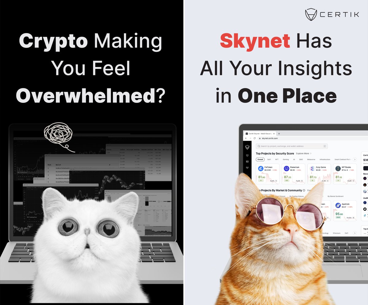 Be a cool cat, not an overwhelmed cat. 🕶️ Get some Skynet in your life for  all your due diligence needs. This one-stop shop makes #DYOR a way of life!  Check it