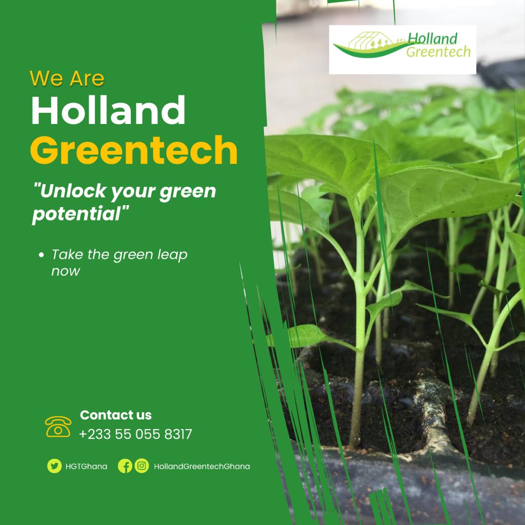 Join the Green revolution with Holland Greentech and take your farming to new heights! Our innovative solutions and expert team are here to support you every step of the way.Partner with us and let's grow together! 🌱🌿🌾#HollandGreentech #GreenLeap #FarmingSolutions #Partnership