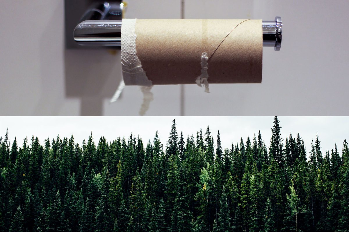 Avskogningsförordningen och toapapper

Igår gav EU-rådet grönt ljus till Avskogningsförordningen som syftar till att minimera risken för avskogning och skogsförstöring kopplat till

#EU #Skogspolitik

iskogen.se/skog-eu-glesby…