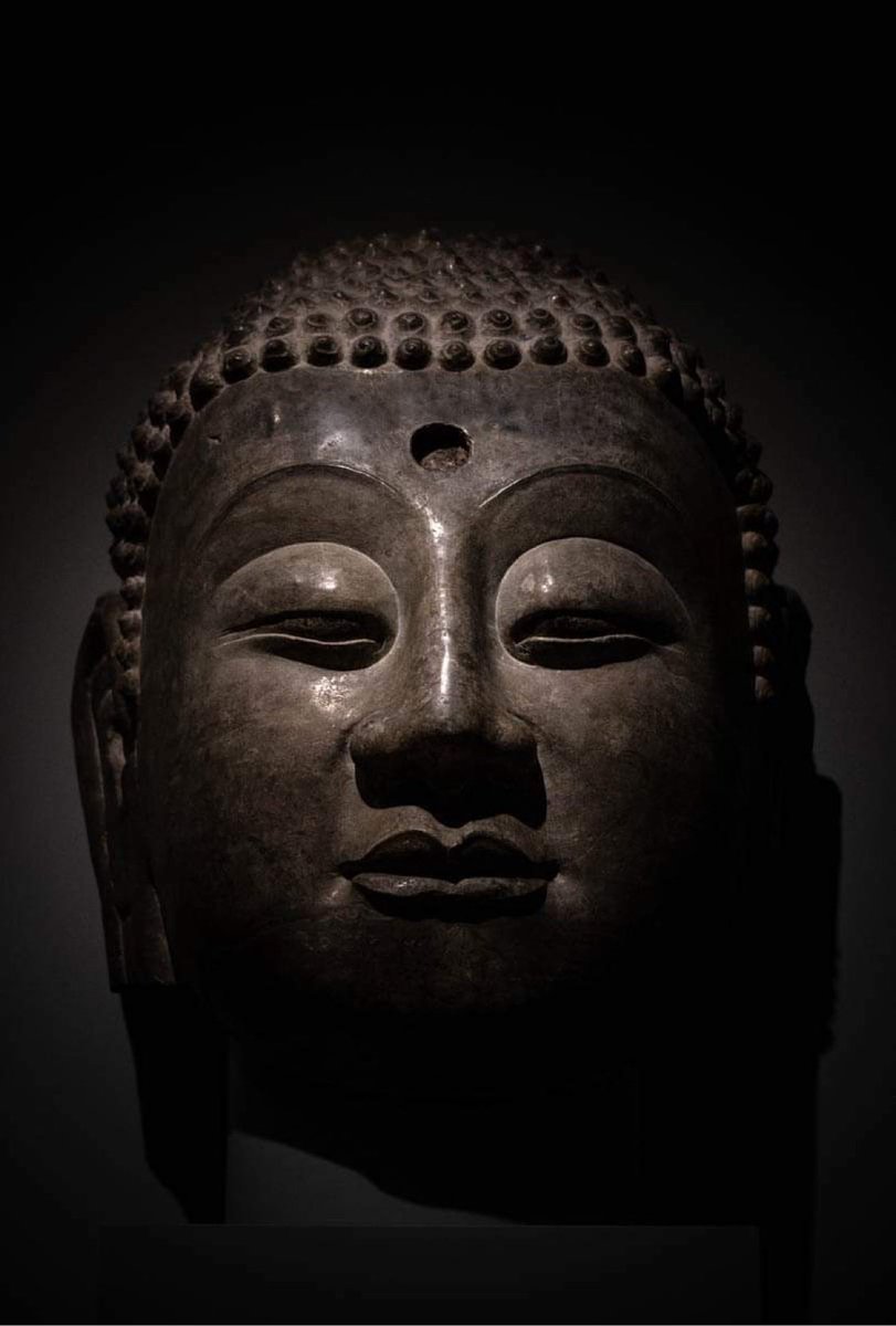 Buddha Project tweet media