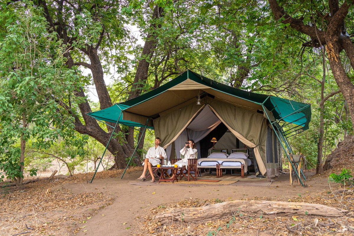 A new season is upon us at #JohnsCamp and already the #wildlife has been putting on quite the show!
Here's what our head guide Mark had to say: bit.ly/3MgnIFk

#manapoolsnationalpark  #robinpopesafaris #wildlifephotography #travelblog #travelafrica