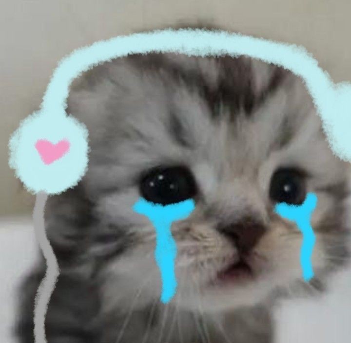 _warivc's tweet photo. emotional damage ๐๐๐
#STChapter30
@VentreCanard_Wp https://t.co/sAbEBxt5qw