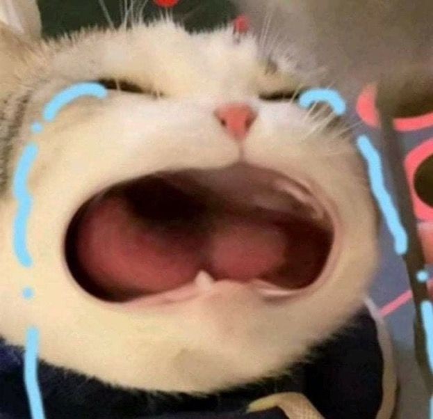 _warivc's tweet photo. emotional damage ๐๐๐
#STChapter30
@VentreCanard_Wp https://t.co/sAbEBxt5qw