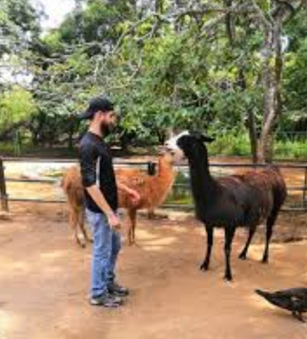 abramartti's tweet photo. ¿En cuál de estos Estados del occidente de Venezuela se encuentra el Parque Zoológico y Botánico Bararida?
-Yaracuy
-Zulia
-Falcón 
-O Lara https://t.co/Xy7abBqxDr