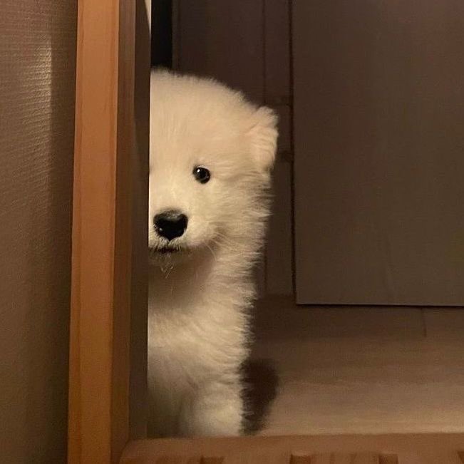 สนใจอะป่าวว่างอยู่ตัวนึง