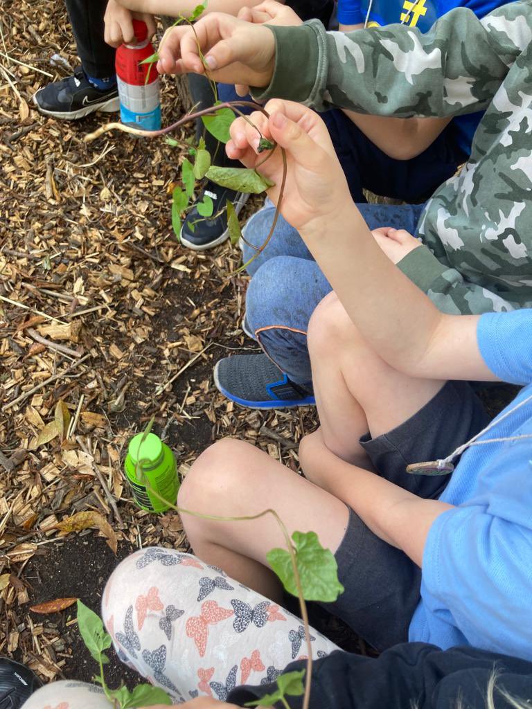 Patcham Infant School tweet media