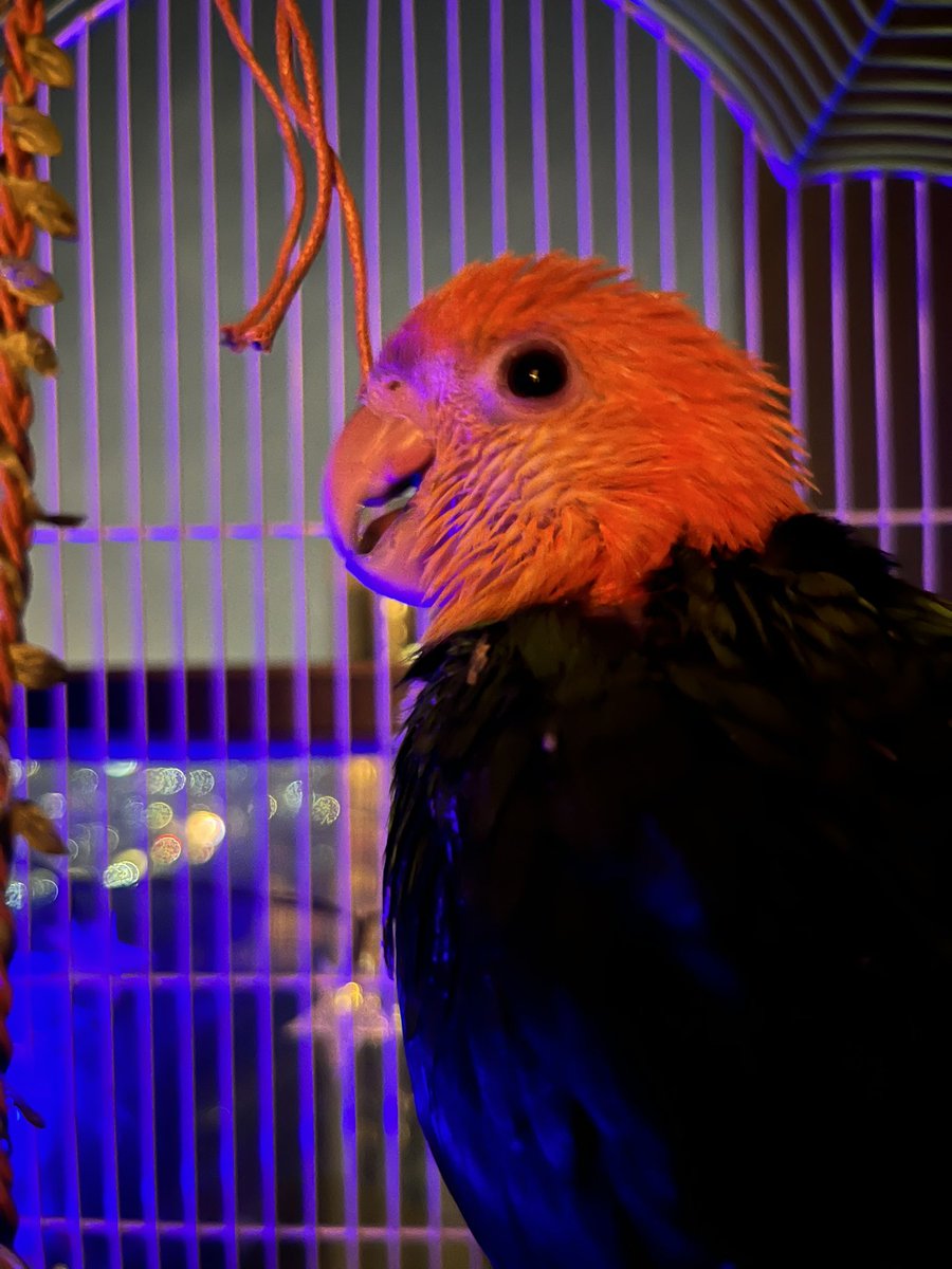 我如果能再开快一点就好了