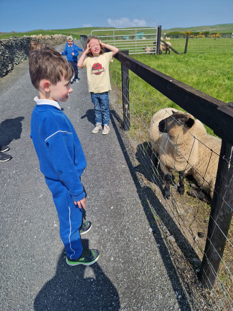 stclares_ss's tweet photo. Jasmine class had a blast at @MoherHillFarm too #sunnydays #funatthefarm https://t.co/FUQ0a4LCr6