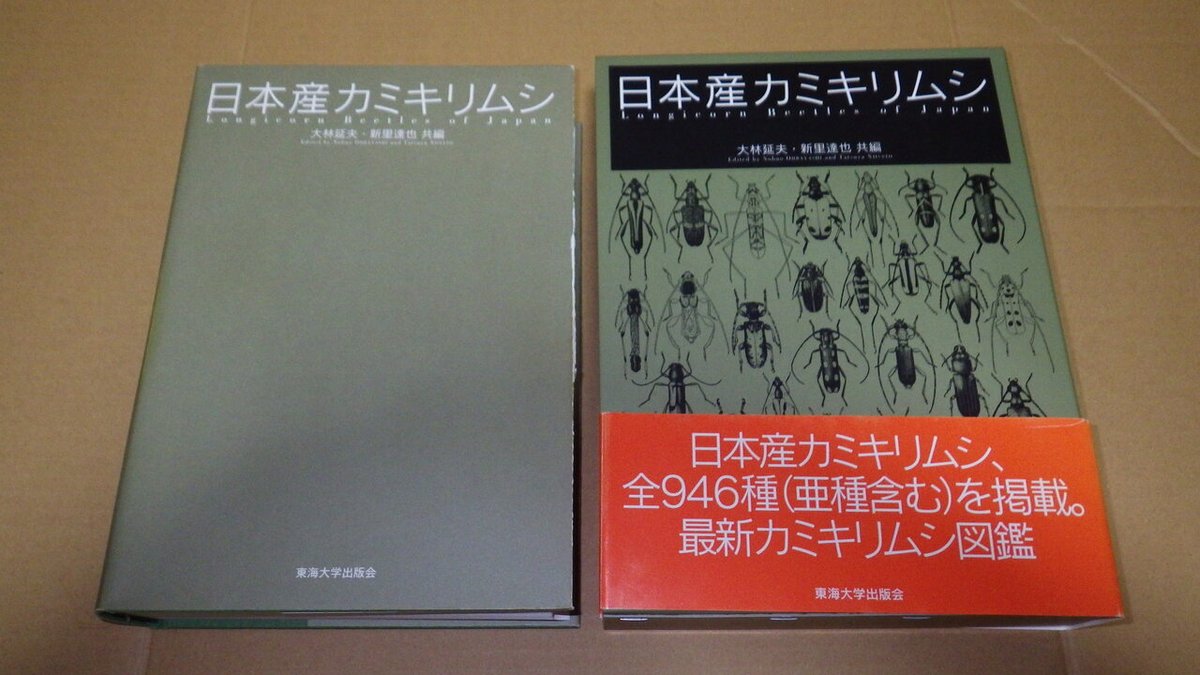 日本産カミキリムシ 価格：22,000円（送料無料） 当時の日本産