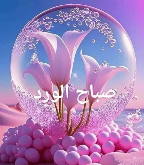 ❥⿻ هۣۗہتۣۗہوۣنۣۗہ⿻❥ tweet media