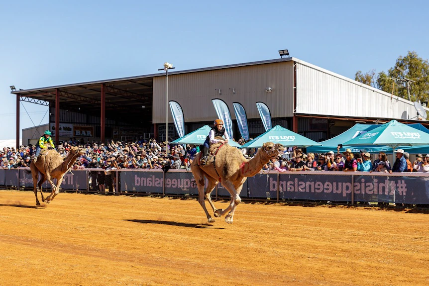 Sinéad Mangan tweet media