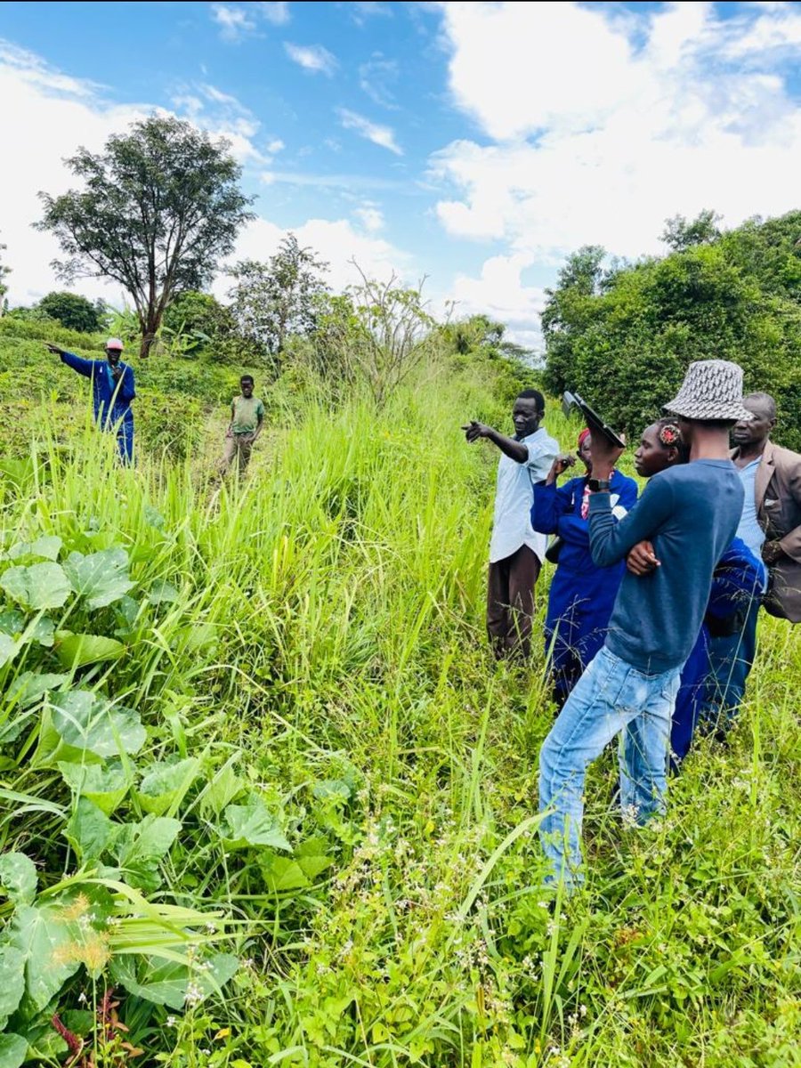 land_justicenet's tweet photo. Mapping exercise taking place in Agwata sub county, Dokolo district. Land justice network team, field assistants, ALC members, GIS Technician and LC1 chairpersons all actively involved. 
#RELAPU project
#GIZ https://t.co/USGi4QkAj1