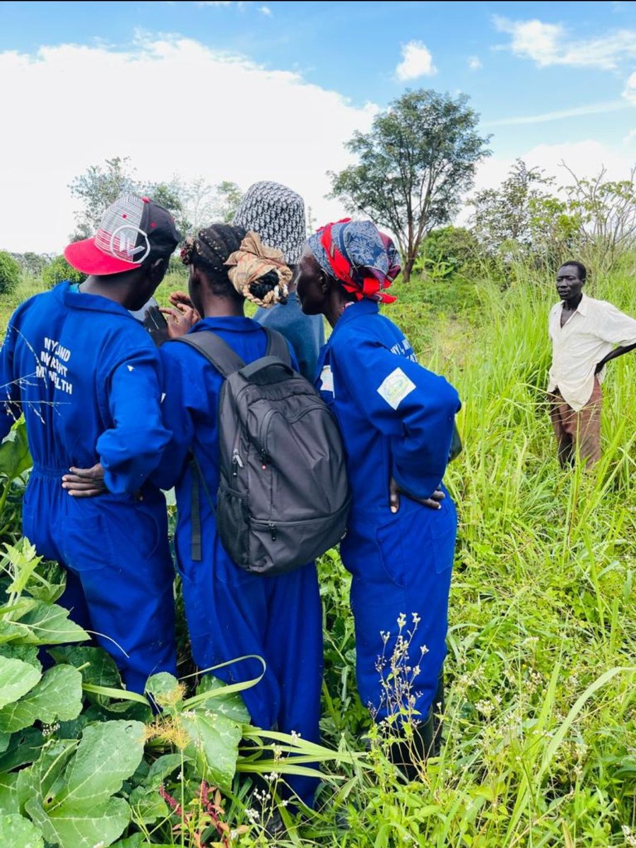 land_justicenet's tweet photo. Mapping exercise taking place in Agwata sub county, Dokolo district. Land justice network team, field assistants, ALC members, GIS Technician and LC1 chairpersons all actively involved. 
#RELAPU project
#GIZ https://t.co/USGi4QkAj1