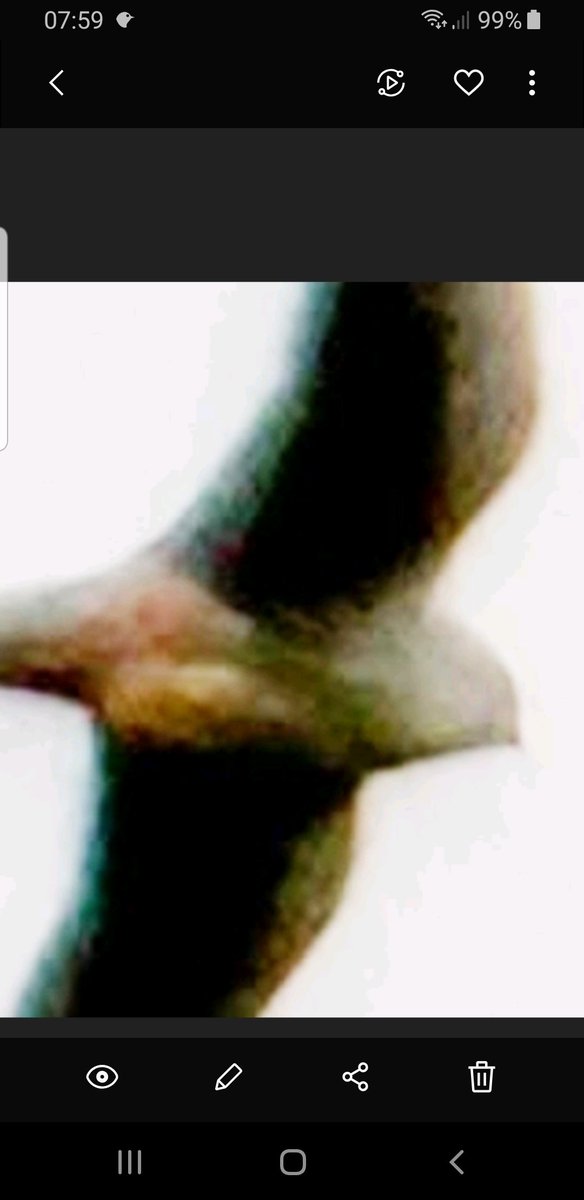 Barry Reed tweet media