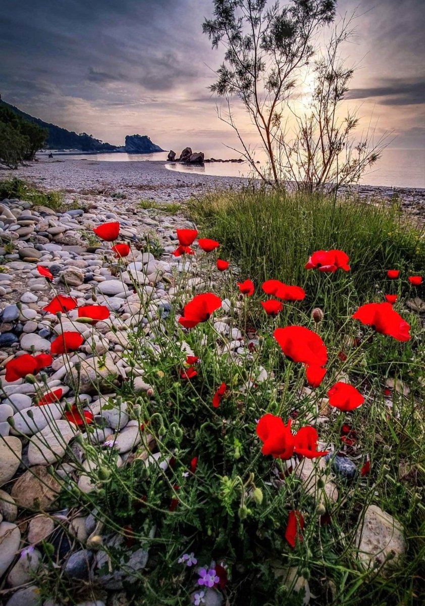 Günaydın mutlu, umutlu sabahlar...
#BittiDemedenBitmez