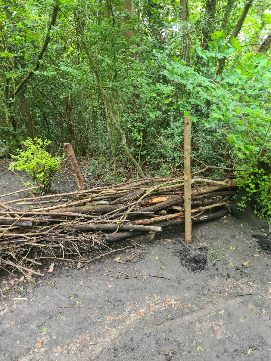 Our wonderful Nature Conservation #volunteers have been sprucing up dead-hedges in the #StreathamCommon woodland. 
A great way to define paths & create habitat

The team meet Fridays from 10am

New members always welcomed ! 
To learn more please contact vicky.peet@sccoop.org.uk