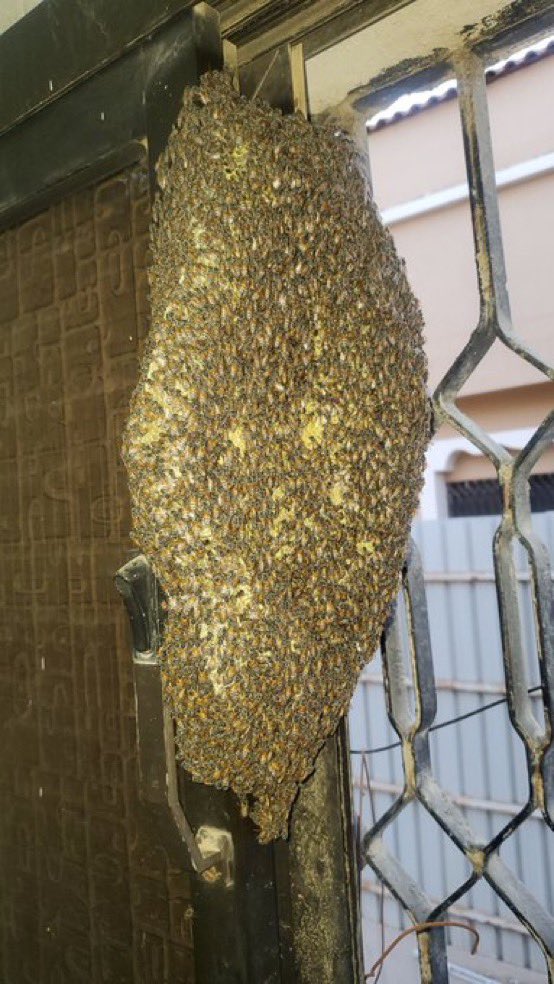 اسأل الرياض AskRiyadh tweet media