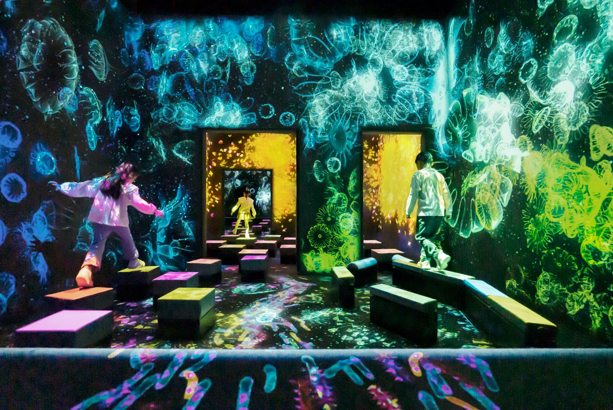 teamLab_net's tweet photo. “Balance Stepping Stones in the Invisible World”
Balance Stepping Stones are stepping stones that interactively change when a person steps on them.
・
On view at “teamLab Massless Beijing”
Dec 24, 2022 - Permanent
https://t.co/zA61uyKdr7
#teamLabMassless https://t.co/BCwcdeAHWp