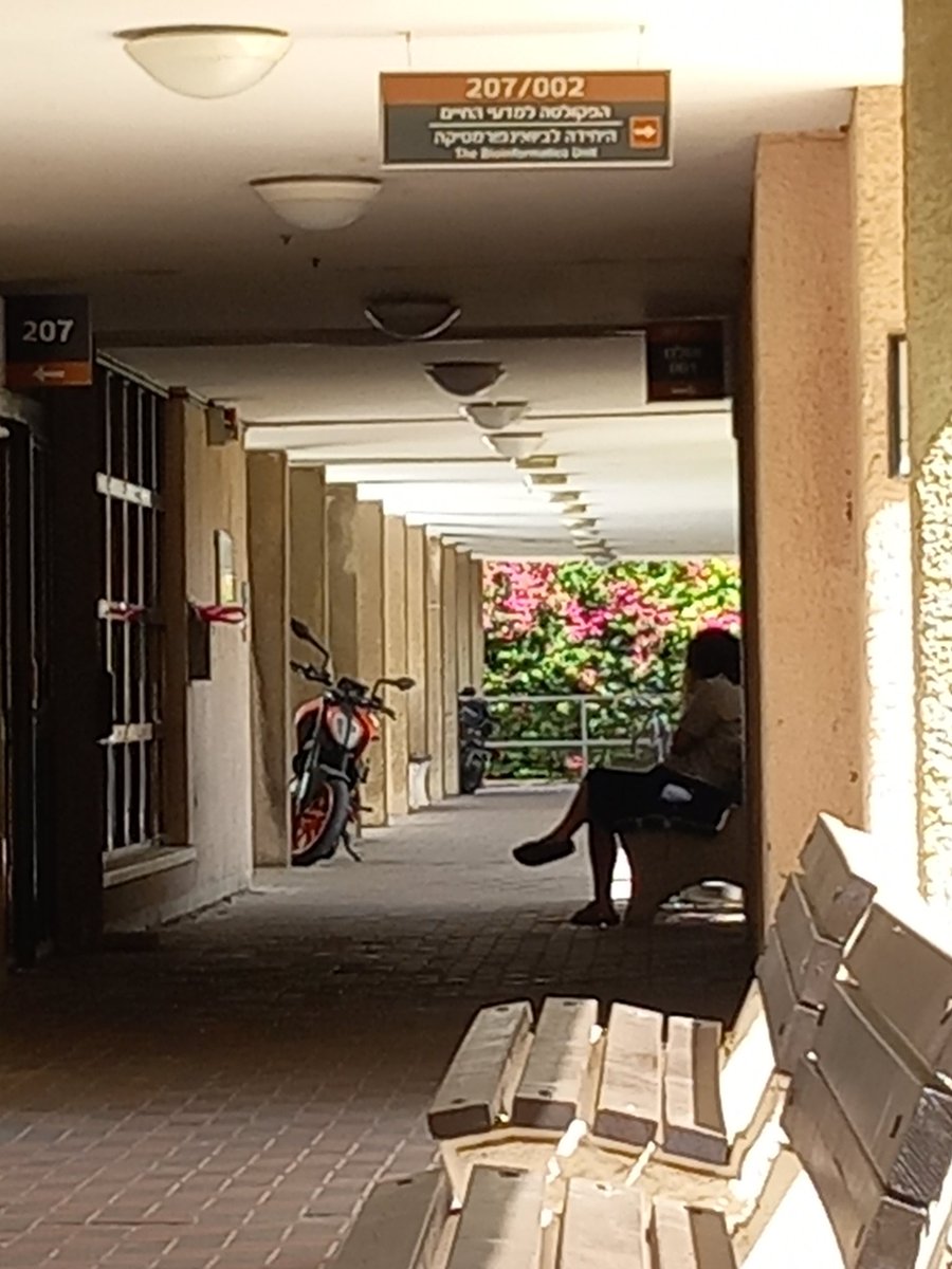 University aesthetics in Israel is like in anime