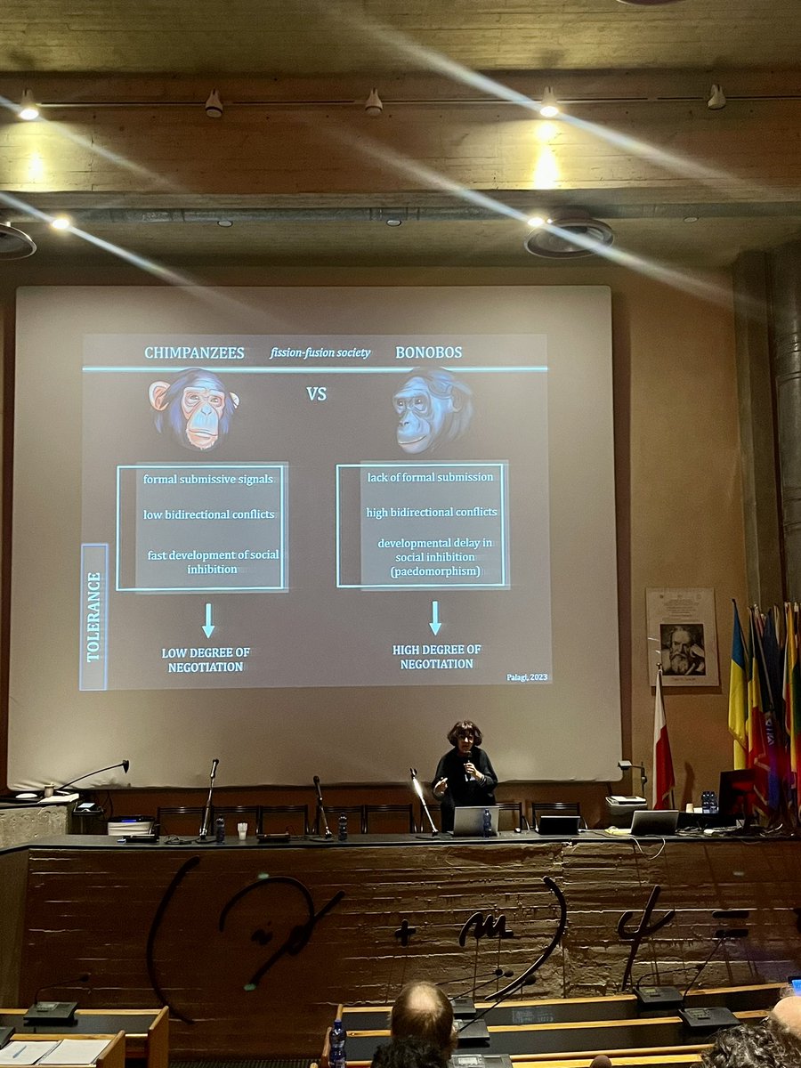 Erice2023 PLAYFUL SOCIETIES tweet media