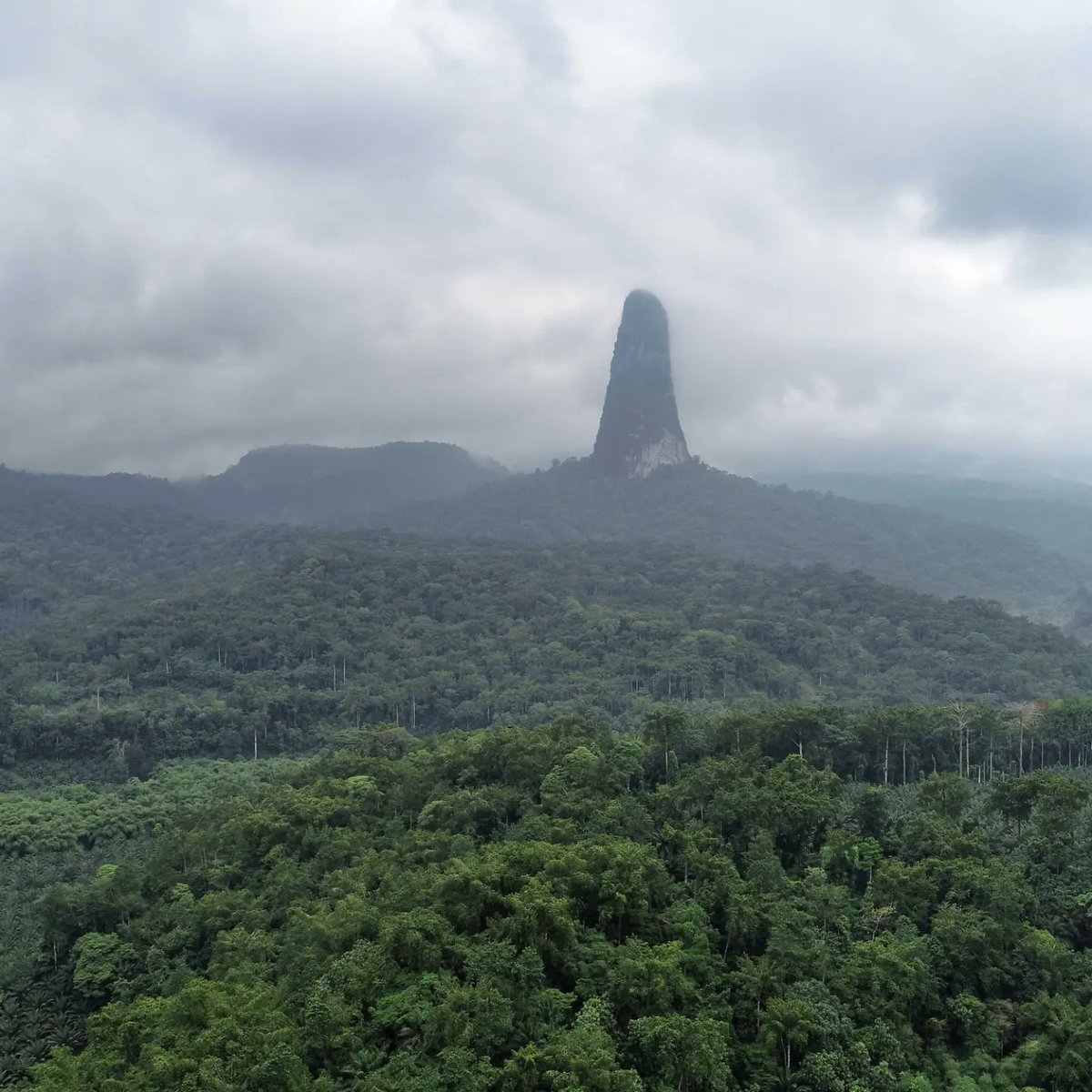 hermanospou's tweet photo. TNF 4 ELEMENTOS La tercera etapa del proyecto fue el FUEGO. Y el #CaoGrande era el objetivo perfecto. El cuello volcanico 🌋 mas vertical del planeta offered us uncertainty, difficulty, beauty and a lot of adventure. 🐍🧗♂️
#TNF4ELEMENTS
#Fuego #poubros
@thenorthface @Araba https://t.co/HJCYYK1UM9