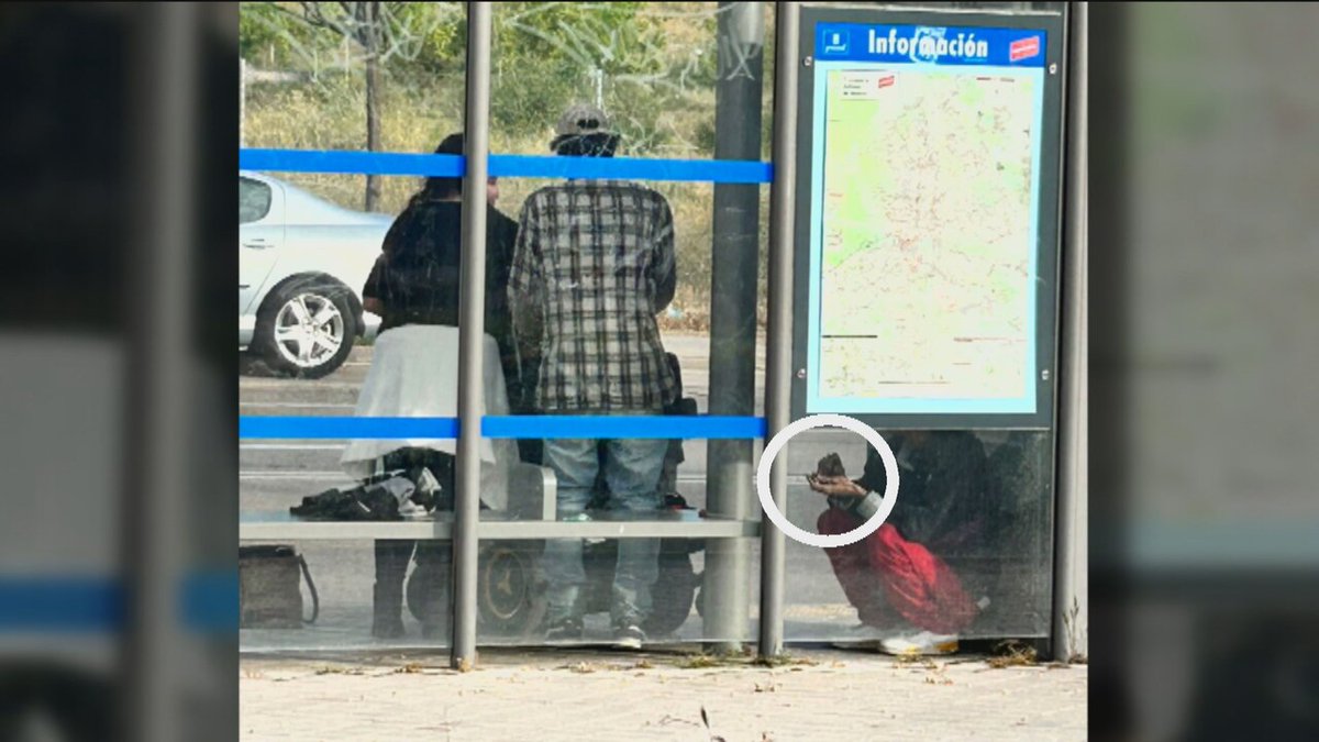 Telemadrid tweet media