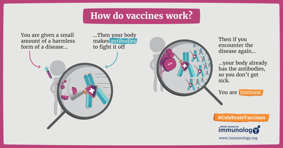 Today is the birthday of #EdwardJenner, the British scientist who pioneered #vaccination 🥳 Let’s #CelebrateVaccines to help strengthen public understanding so everyone can make informed decisions ℹ️ Our resources are free to use & share 👉bit.ly/3Hzricy 1/4