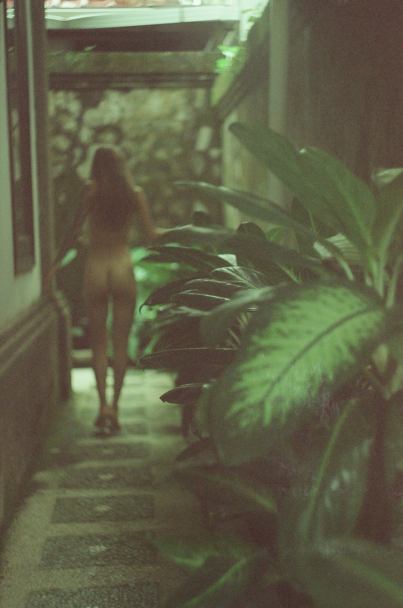 dobrideeen's tweet image. gm🌿💚