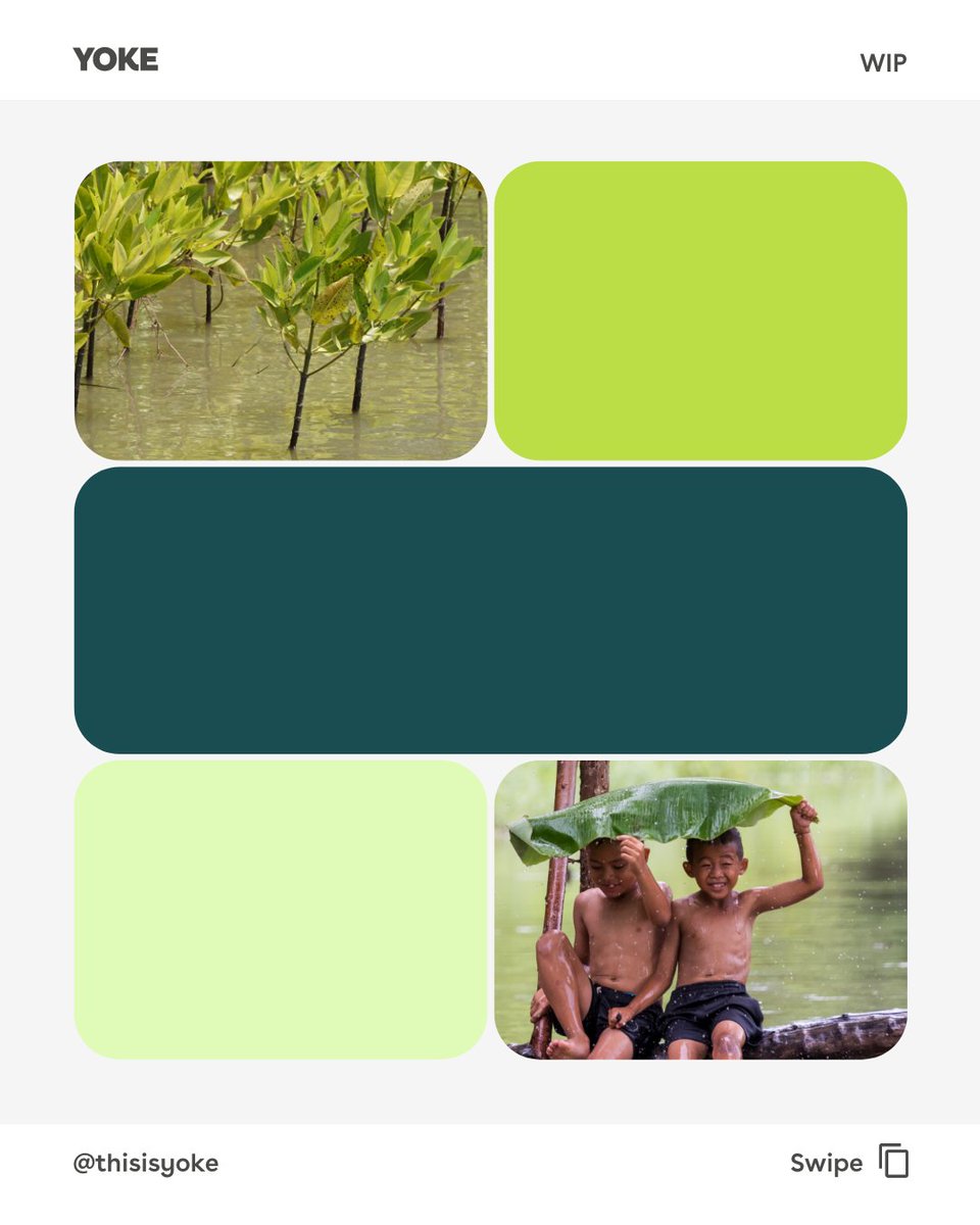 thisisyoke's tweet photo. Studio Process💚🌍⁠
⁠
Initial look and feel for a presentation deck design. ⁠
⁠
This deck needs to appeal to high-level stakeholders – mainly in government or private sector positions, as well as reflect the urgency and importance around mangrove conservation.⁠
⁠  ⁠ https://t.co/QqmwCaGAcC