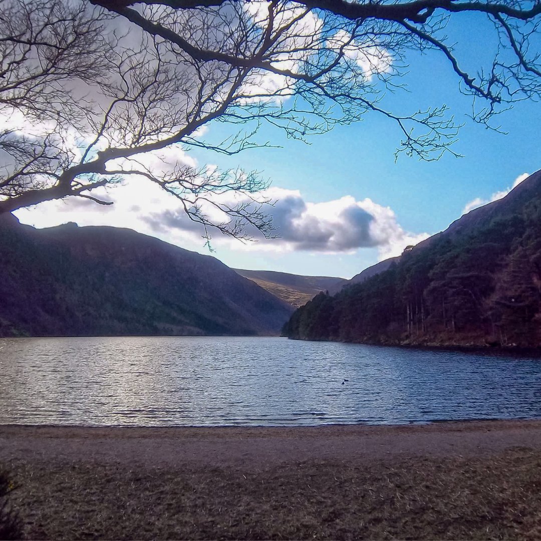 A place to linger, a place to breath in ✨✨

📍Glendalough, Co Wicklow 

Courtesy of Sarah Nicole Grace 

#ireland #travel #countywicklow #visitireland #nature #loveireland #forest #wicklow #travelphotography #Glendalough #wildroverdaytours #sheepdogtrial