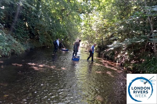 Thames21's tweet photo. Walking is good for you, especially by the river. Join the @KingstonRamble1 to walk along the Beverley Brook as part of #LondonRiversWeek23.
📆Friday 2nd June. 11am start time.
More details: https://t.co/iRqTieq3L1 https://t.co/WH7TZFlres