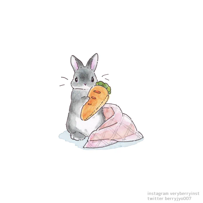 今日は  にんじんさんの  クッション持って寝るの…
