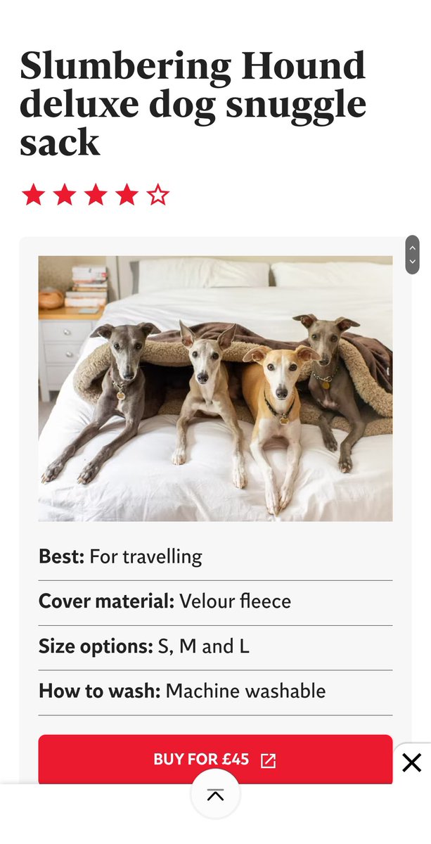 Amazing to see a shot for <a href="/SlumberingHound/">Slumbering Hound</a> in The Independent today!! Well done Dee 🙌🏻 

I love working with small brands and seeing images I've created for them being published is the icing on the cake 🤩

independent.co.uk/extras/indybes…

#commercialpetphotographer #dogphotographer