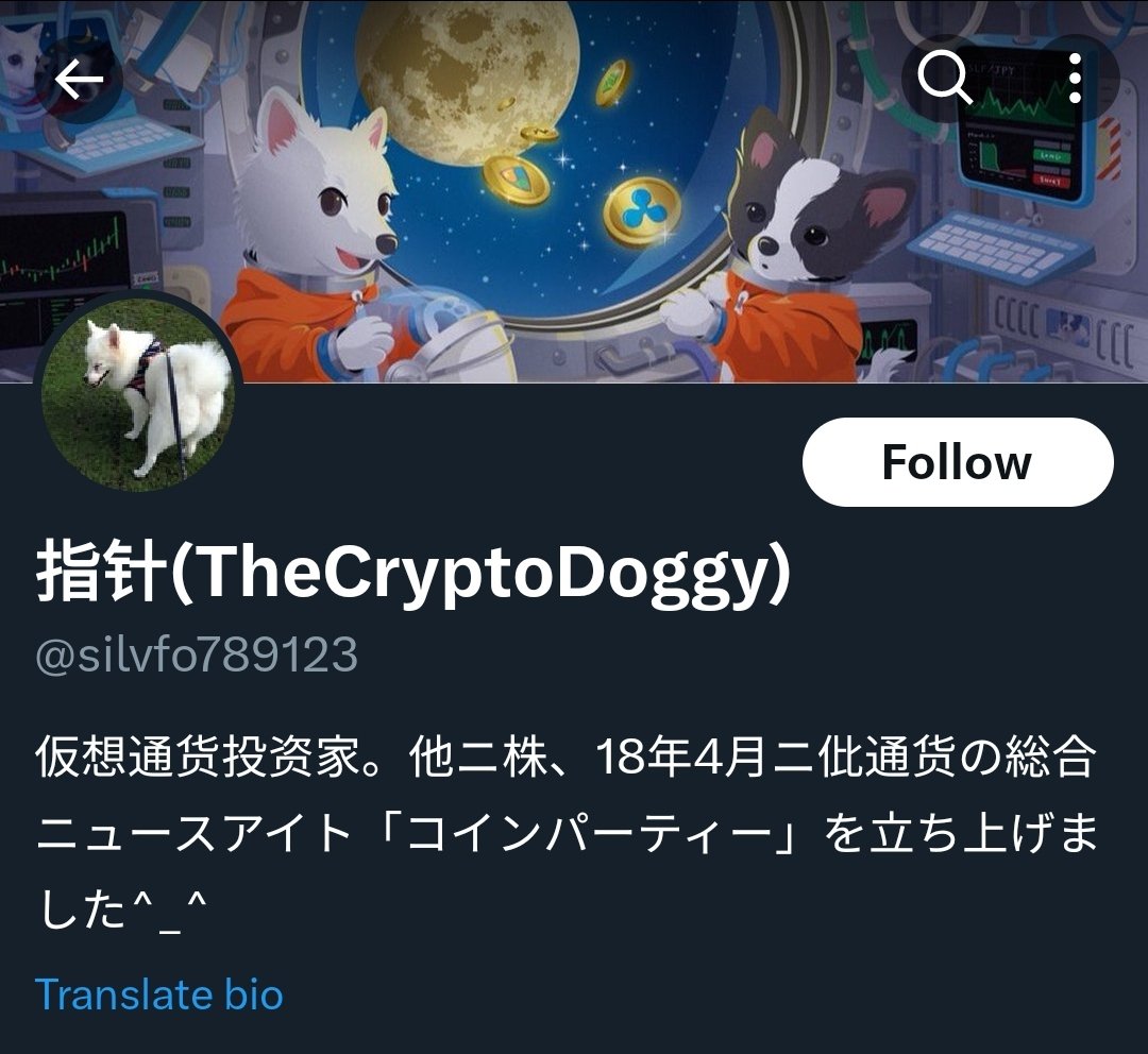 指針(TheCryptoDoggy) (@silverfox789123) / Posts / X