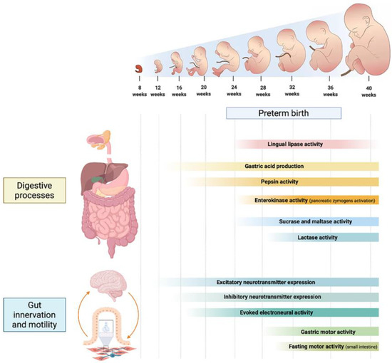 Nutrients MDPI (@nutrients_mdpi) on Twitter photo #mdpinutrients
📚Recommend the Editor’s Choice article "Development of the Gastrointestinal Tract in Newborns as a Challenge for an Appropriate Nutrition: A Narrative Review" by Prof. Flavia Indrio et al. <a href="/LifesciMdpi/">MDPI Life Sciences</a> <a href="/Symbiosispapers/">Symbiosis papers</a> <a href="/neo_papers/">🤖neopapers</a>
👉mdpi.com/2072-6643/14/7… #mdpinutrients
📚Recommend the Editor’s Choice article "Development of the Gastrointestinal Tract in Newborns as a Challenge for an Appropriate Nutrition: A Narrative Review" by Prof. Flavia Indrio et al. <a href="/LifesciMdpi/">MDPI Life Sciences</a> <a href="/Symbiosispapers/">Symbiosis papers</a> <a href="/neo_papers/">🤖neopapers</a>
👉mdpi.com/2072-6643/14/7…