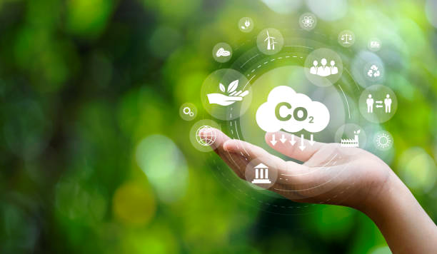 CharityDao_'s tweet photo. #CSR can take many different forms👇
🌴Reducing #carbonemissions,
🌐Ensuring #ethical business practices,
🧑🤝🧑Supporting employee #volunteering programs,
💖Donating to #charitablecauses. https://t.co/sX8MeMJ8jt