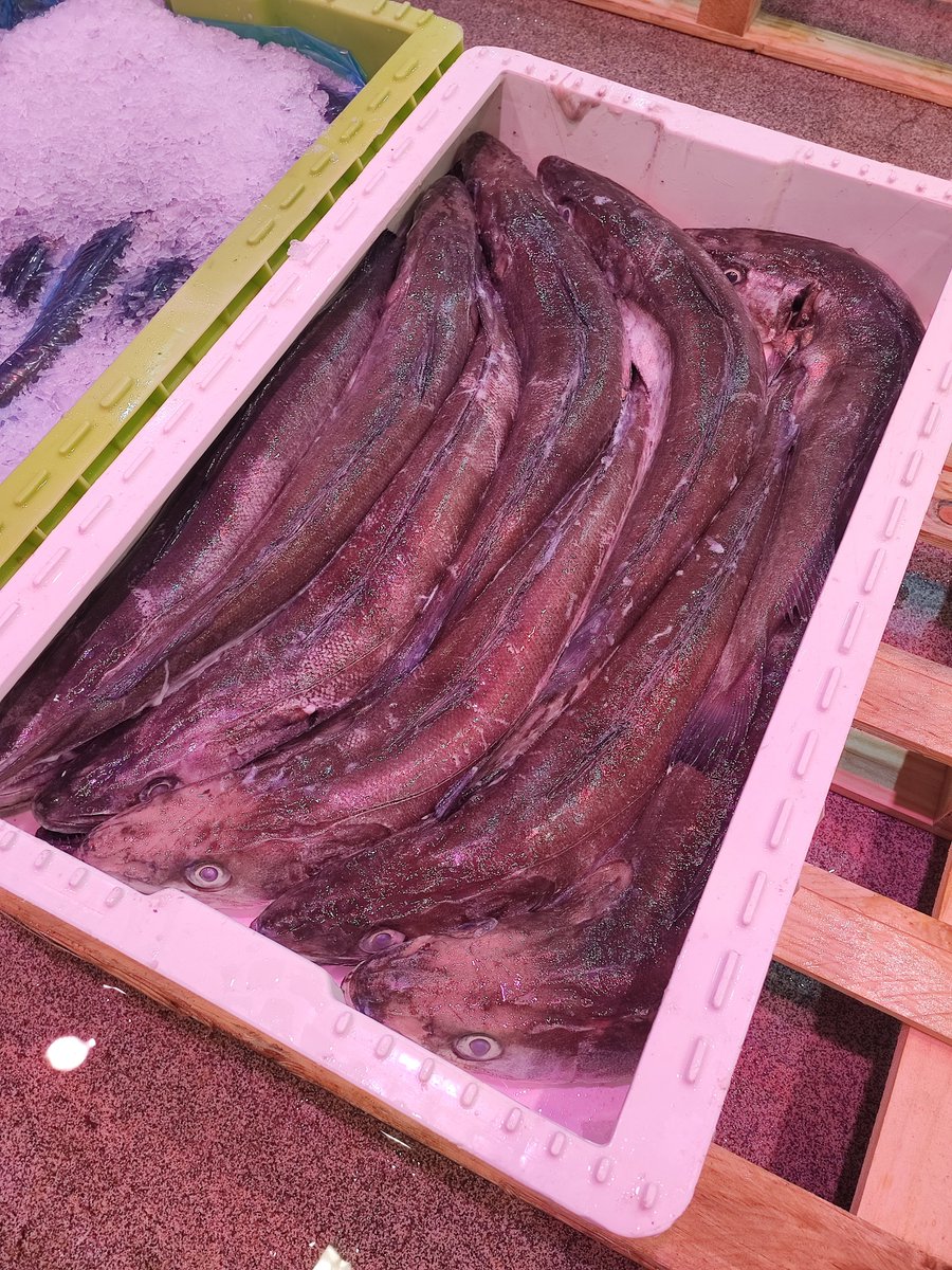 mercabilbao's tweet image. 🐟#Legatza kontsumitzaileek gehien baloratzen duten arrainetako bat da, bere zaporeari eta bere nutrizio-balio handiari esker.
❗Zenbat eta handiagoa den, #arrain horrek arrautza gehiago erruten ditu. Ba al zenekien legatz heldu batek 400000 arrautza errun ditzakeela behingoan?😮