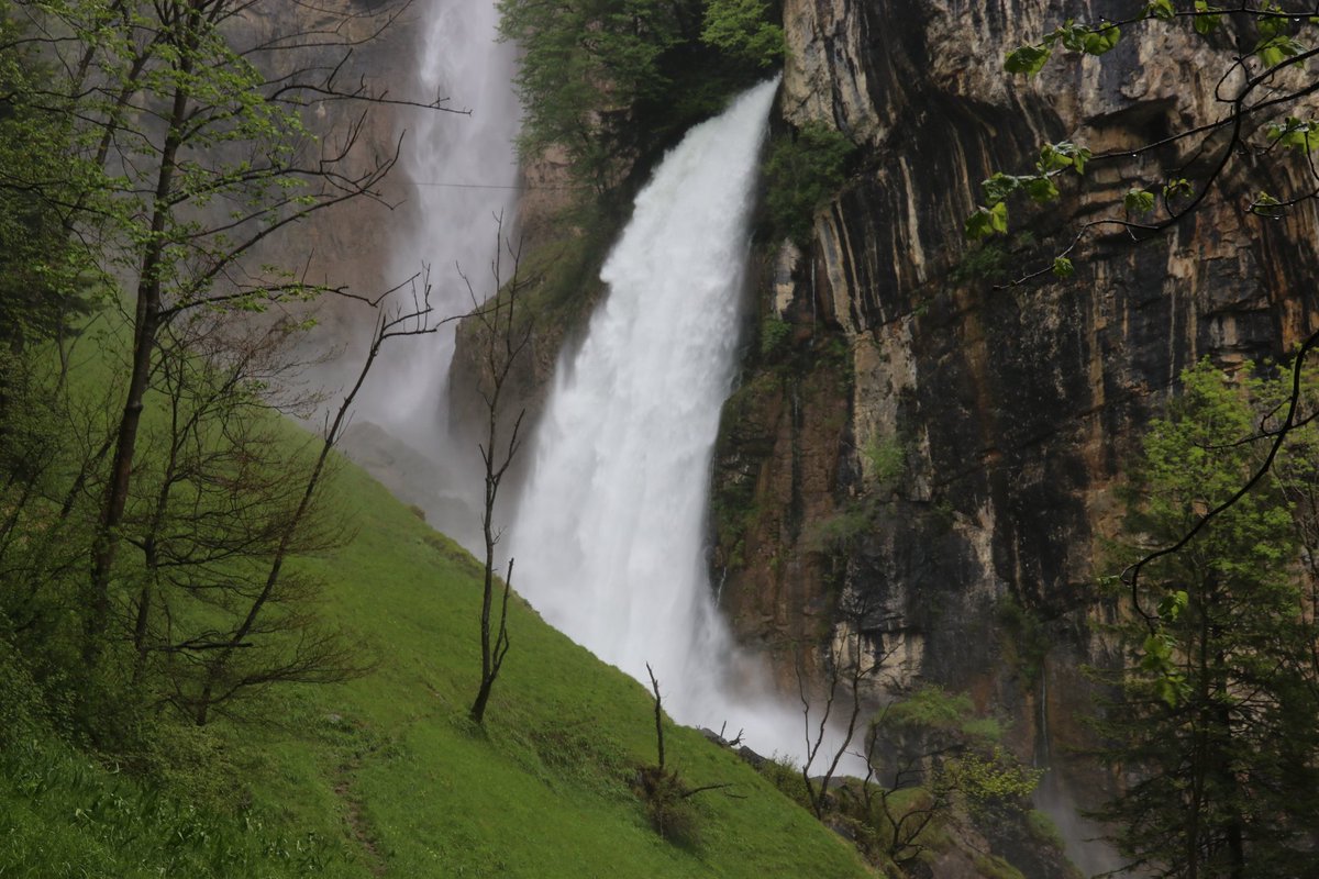 danivumalvier's tweet image. Sehr eindrücklich nach den Starkniederschlägen: #Rinquelle und #Serenbachfälle am #Walensee. Die Rinquelle ist eine der grössten Karstquellen Europas und wird von der Nordseite der #Churfirsten gespeisten.
