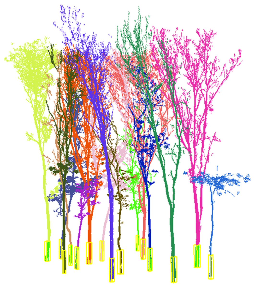 Forests_MDPI's tweet photo. 🌲#Forests #HighlyAccessedPapers in 2022 Series-📜#article
"Segmenting Individual Tree from #TLS Point Clouds Using Improved #DBSCAN", by Hongping Fu et al.
📚https://t.co/1zpXJ9pqx4
📌#individualtreesegmentation #TLSpointclouds #distancedistributionmatrix #regiongrowth https://t.co/b5gz36pajs