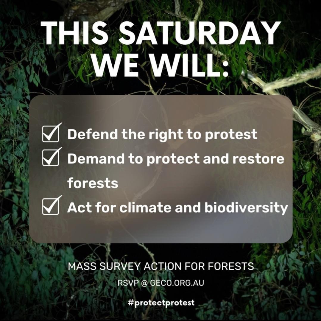 Victoria's new anti-protest laws take effect this Saturday. Join the state-wide action for threatened species. Find locations and sign up at geco.org.au. Together, let's #protectprotest, our forests and biodiversity.