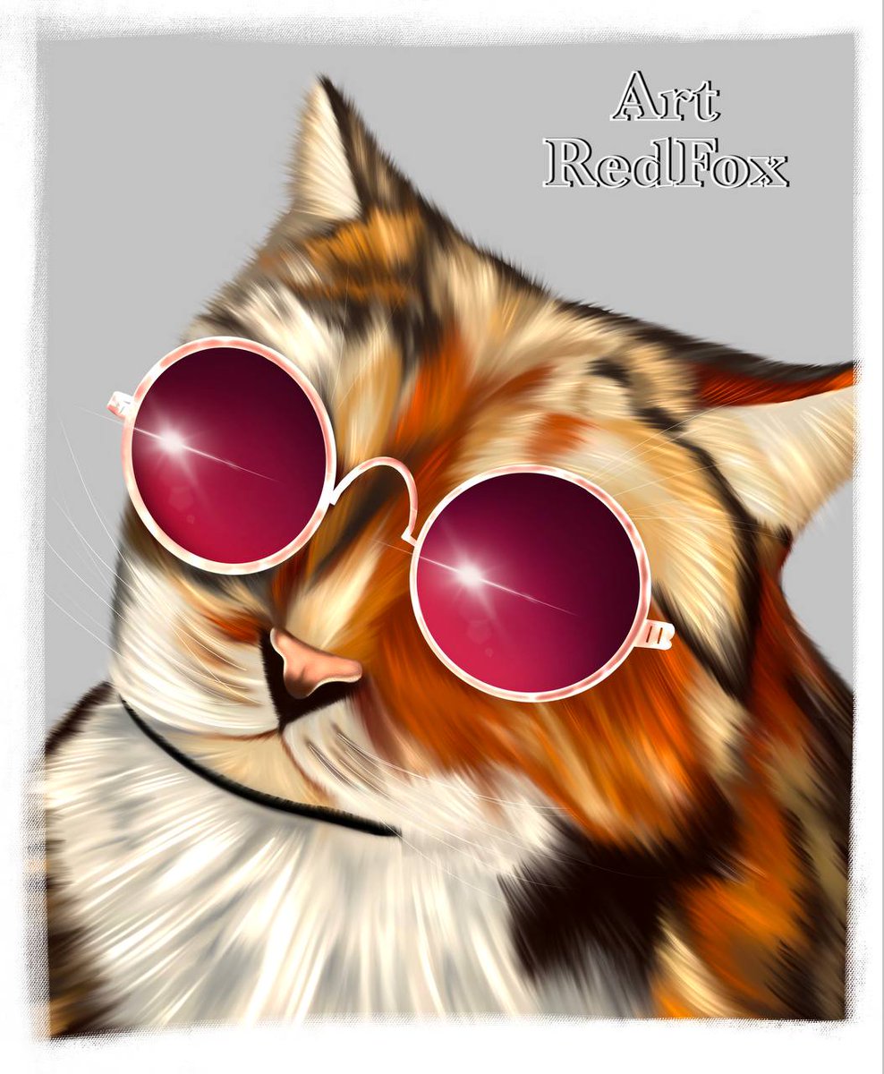 redfoxtatana's tweet photo. Meow 😺

#illustrator #sketch #instaart #creative #digital #digitalart #digitalillustration
#animal #cats https://t.co/3GjW9d34mT