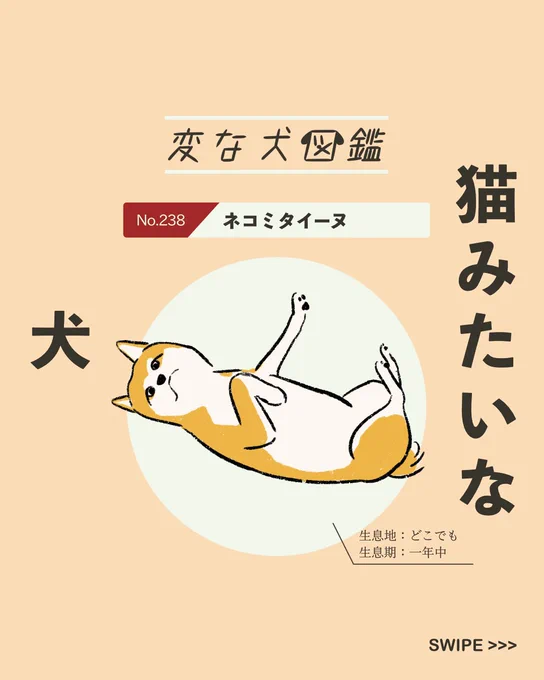 【#変な犬図鑑】 No.238 ネコミタイーヌ 猫みたいなあの犬です。