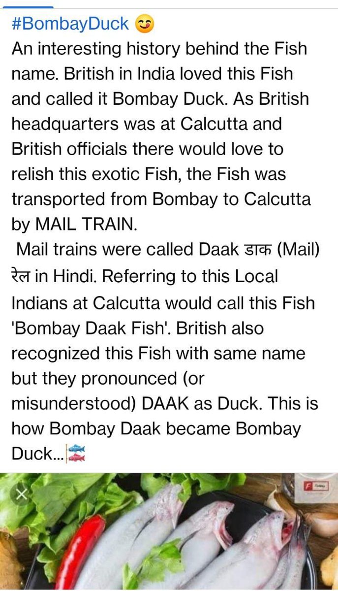 richapintoi's tweet image. How the popular #BombayDuck got its name, came via @GaureeM_TOI