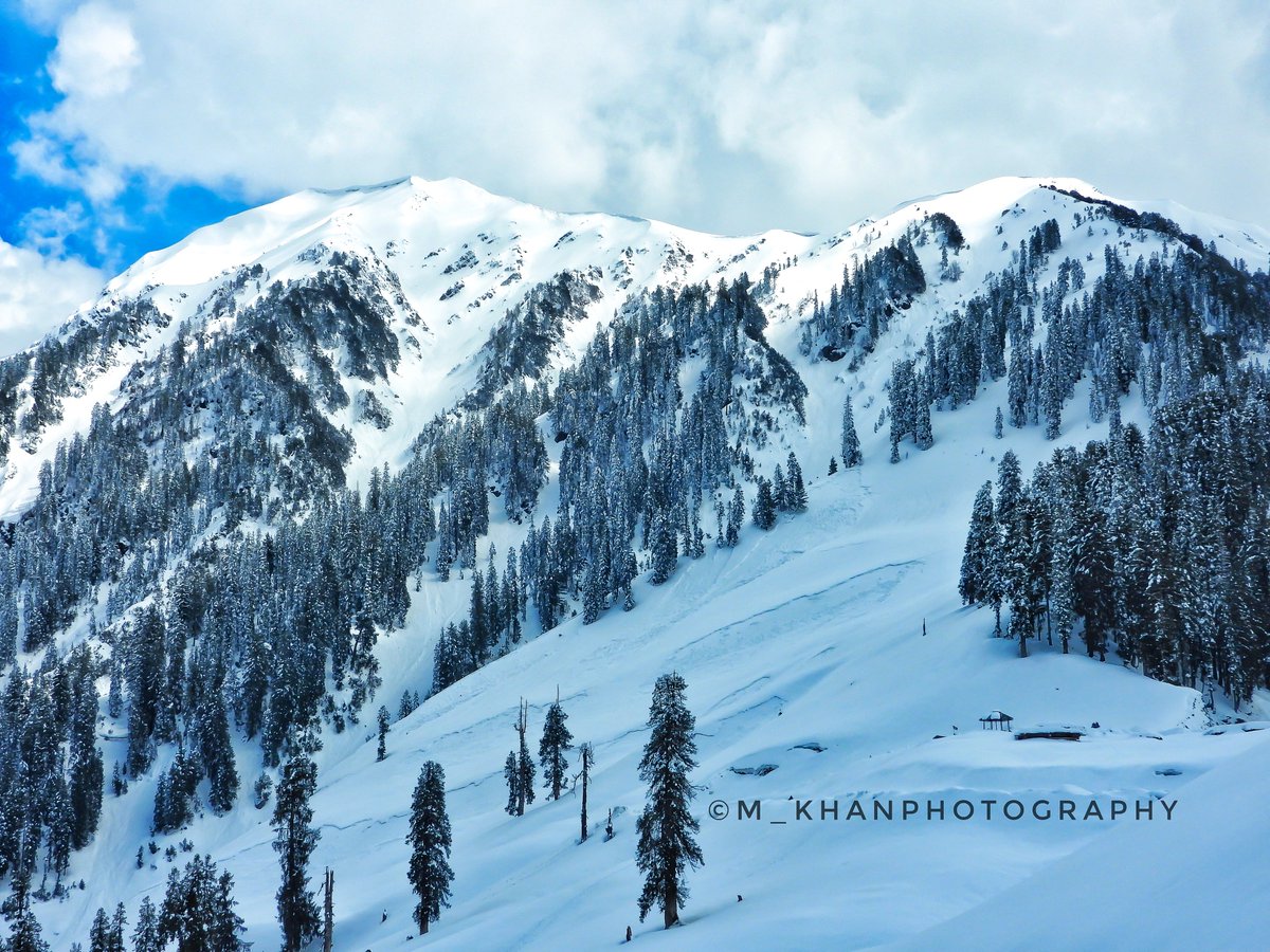 Mustafa_Khan313's tweet photo. 🚩 Guldandi Bhaderwah Jammu and Kashmir India
#mkhanphotography #m_khanphotography #G20Kashmir #G20_in_Kashmir #bhaderwah #JammuandKashmir #JammuKashmir #chenabvalley https://t.co/i1ukEVvz0y