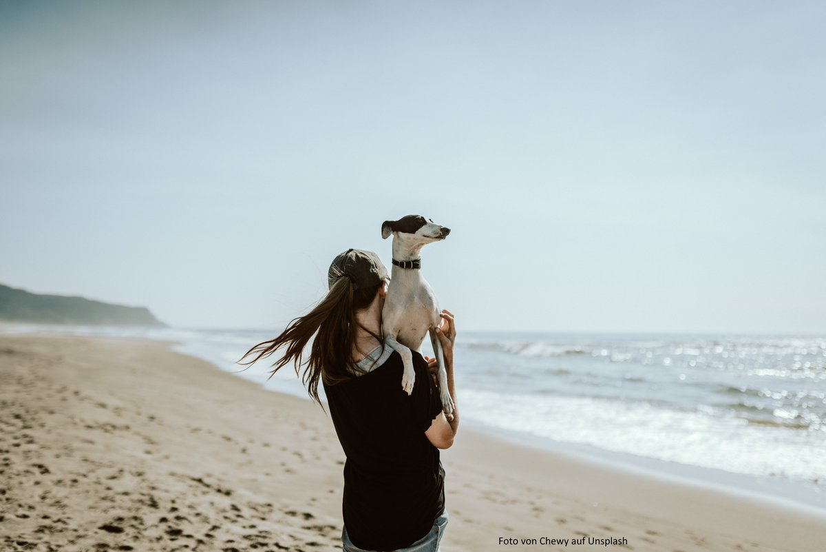 Feiertag, für viele sogar ein langes Wochenende, gutes Wetter: Raus an die frische Luft tut auch den #Venen gut!
Kleiner Spaziergang, längere Radtour, eine Runde Nordic Walking... Wer mit #Fellnase unterwegs ist, für den haben wir noch ein paar Tipps: bit.ly/42LPCAi
#dvl