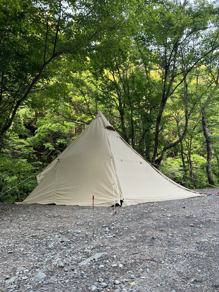sumithee's tweet photo. seriaのゴムのストレッチコードを、モーニンググローリーのビルディングテープに対して45度でペグダウンするのは、更なるピン張に貢献していると思われます。
以上ご報告まで。
#SABBATICAL #MorningGloryTC https://t.co/VHpW9NwkQB