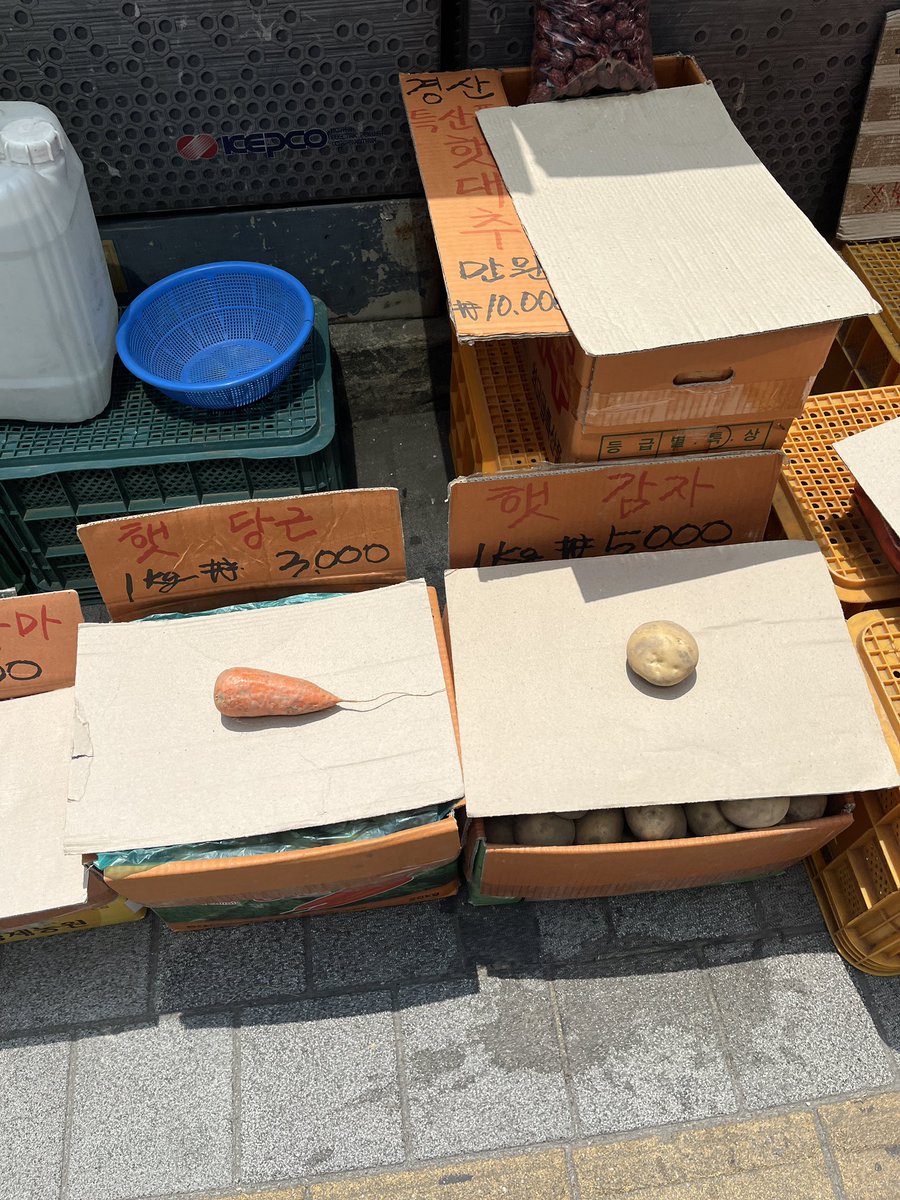 당근 감자 모델인가바 ㅋㅋㅋㅋ 아귀여워